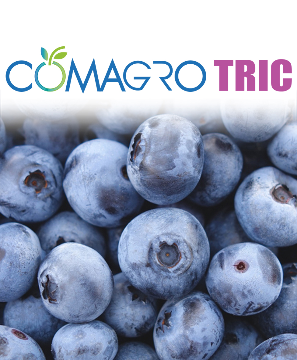 COMAGRO-TRIC COD: BM-003